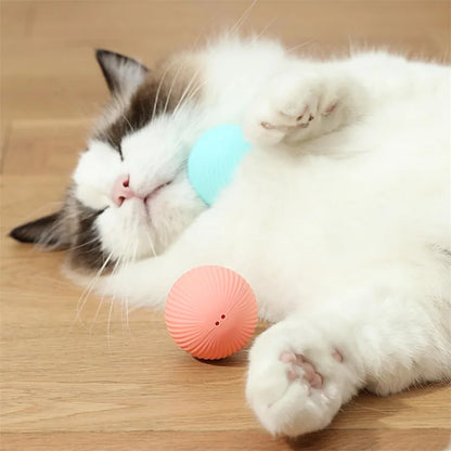 Interactive Automatic Moving Pet Toy Ball