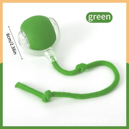 Interactive Automatic Moving Pet Toy Ball