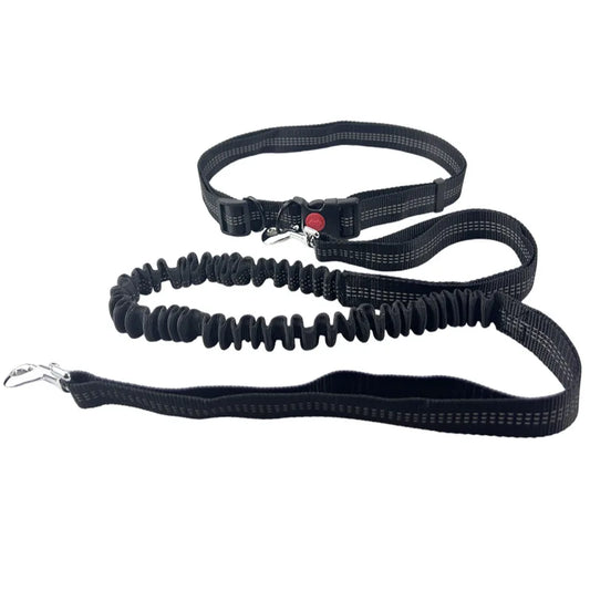 Hands-Free Dog Leash with Waist and Chest Straps