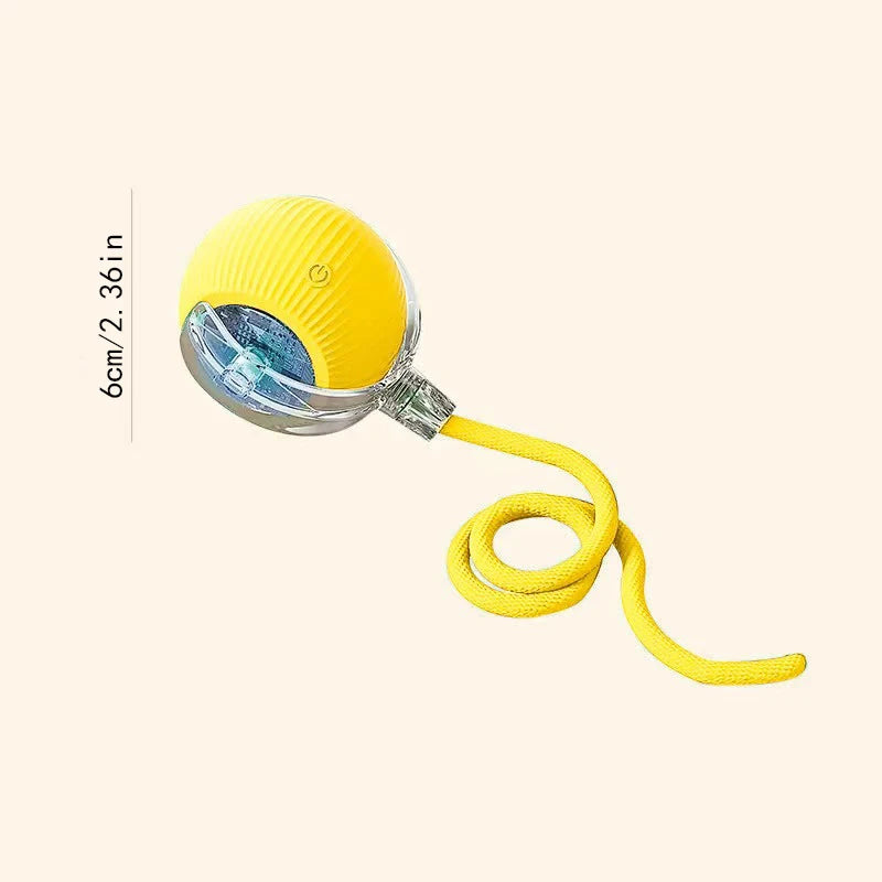 Interactive Automatic Moving Pet Toy Ball