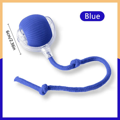 Interactive Automatic Moving Pet Toy Ball