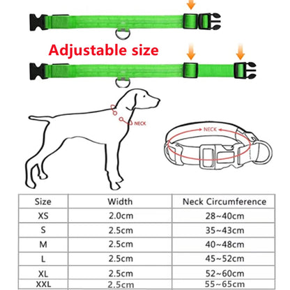 USB Rechargeable Led Glowing Collar for Pets