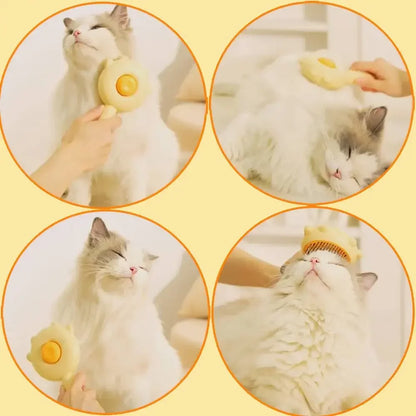 Pet Hair Grooming Brush & Comb