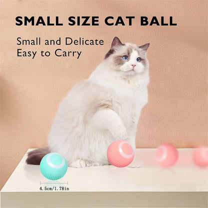 Interactive Automatic Moving Pet Toy Ball