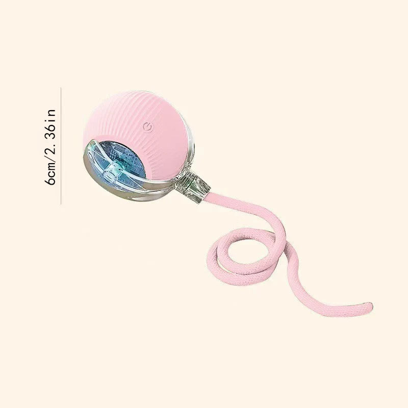 Interactive Automatic Moving Pet Toy Ball