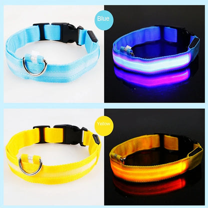 USB Rechargeable Led Glowing Collar for Pets