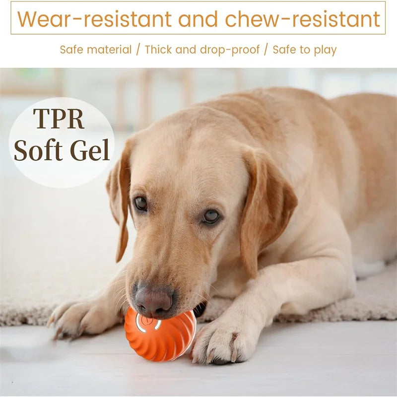 Interactive Automatic Moving Pet Toy Ball