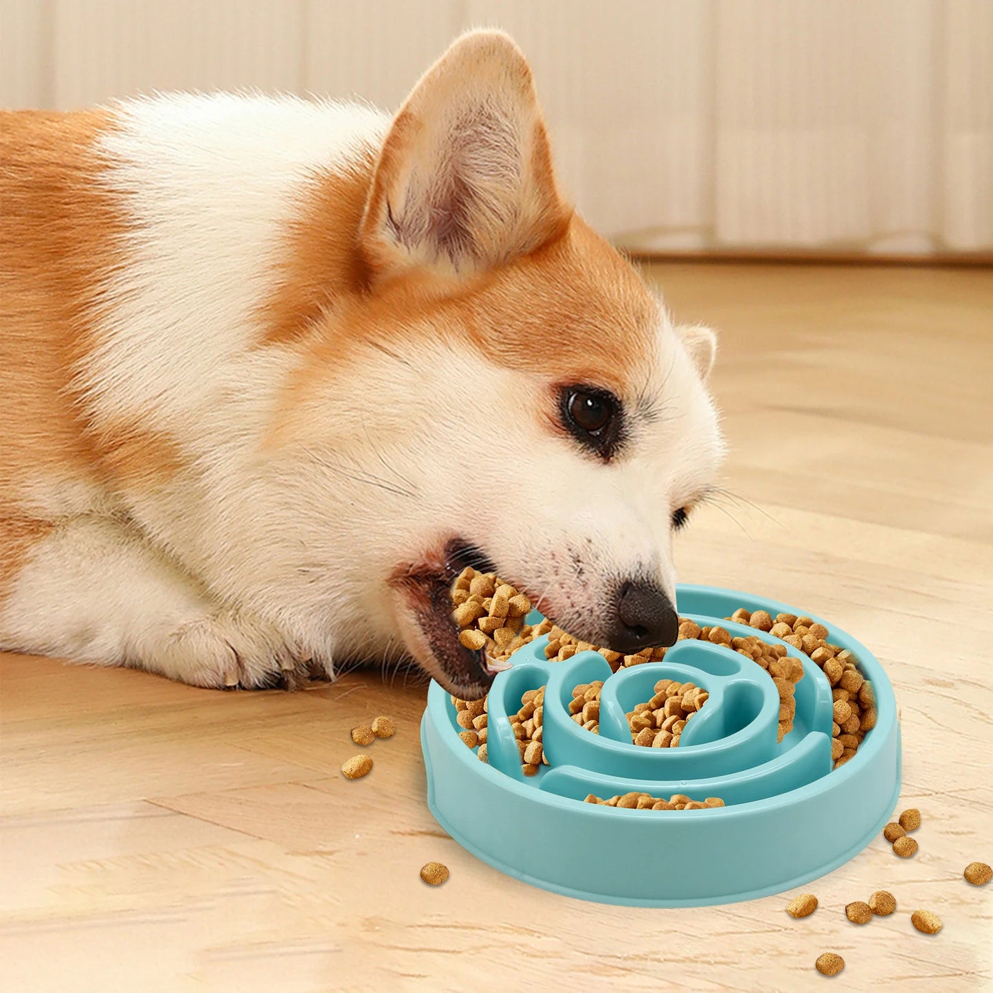 Non-Slip Anti-Gulping Pet Feeding Dish