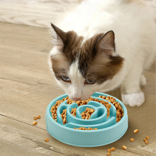 Non-Slip Anti-Gulping Pet Feeding Dish