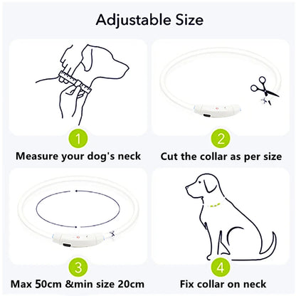 USB Rechargeable Led Glowing Collar for Pets