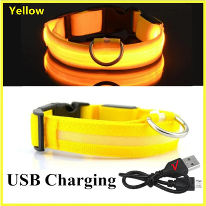 USB Rechargeable Led Glowing Collar for Pets