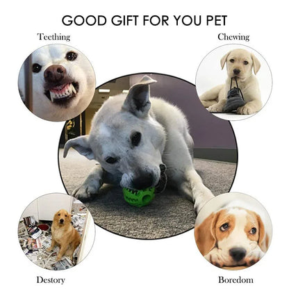 Rubber Treat Feeder & Teeth Cleaning Puzzle