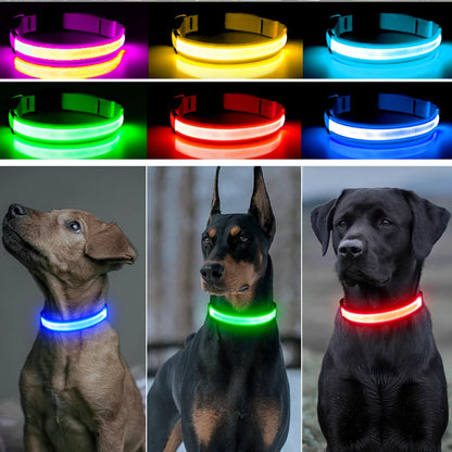 USB Rechargeable Led Glowing Collar for Pets