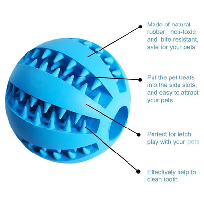 Rubber Treat Feeder & Teeth Cleaning Puzzle