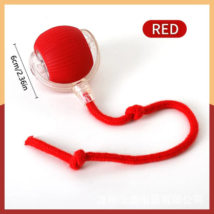 Interactive Automatic Moving Pet Toy Ball