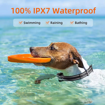 Digital Electric Dog Training Collar