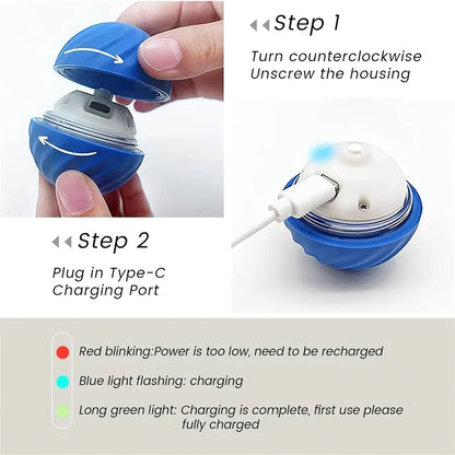 Interactive Automatic Moving Pet Toy Ball