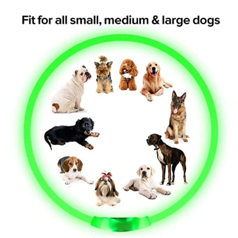 USB Rechargeable Led Glowing Collar for Pets