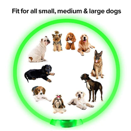 USB Rechargeable Led Glowing Collar for Pets