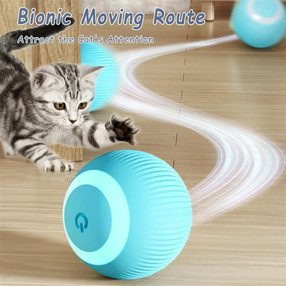 Interactive Automatic Moving Pet Toy Ball